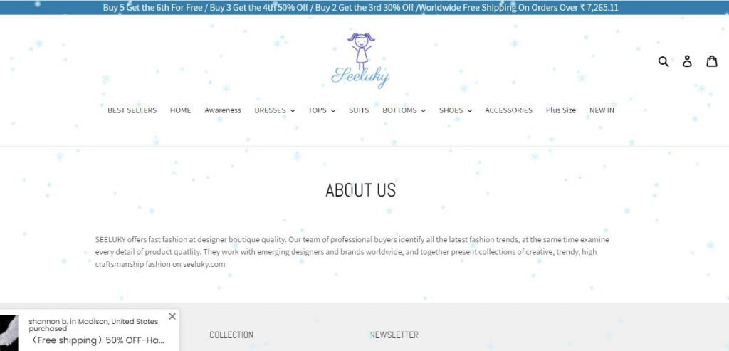 Seeluky About Us