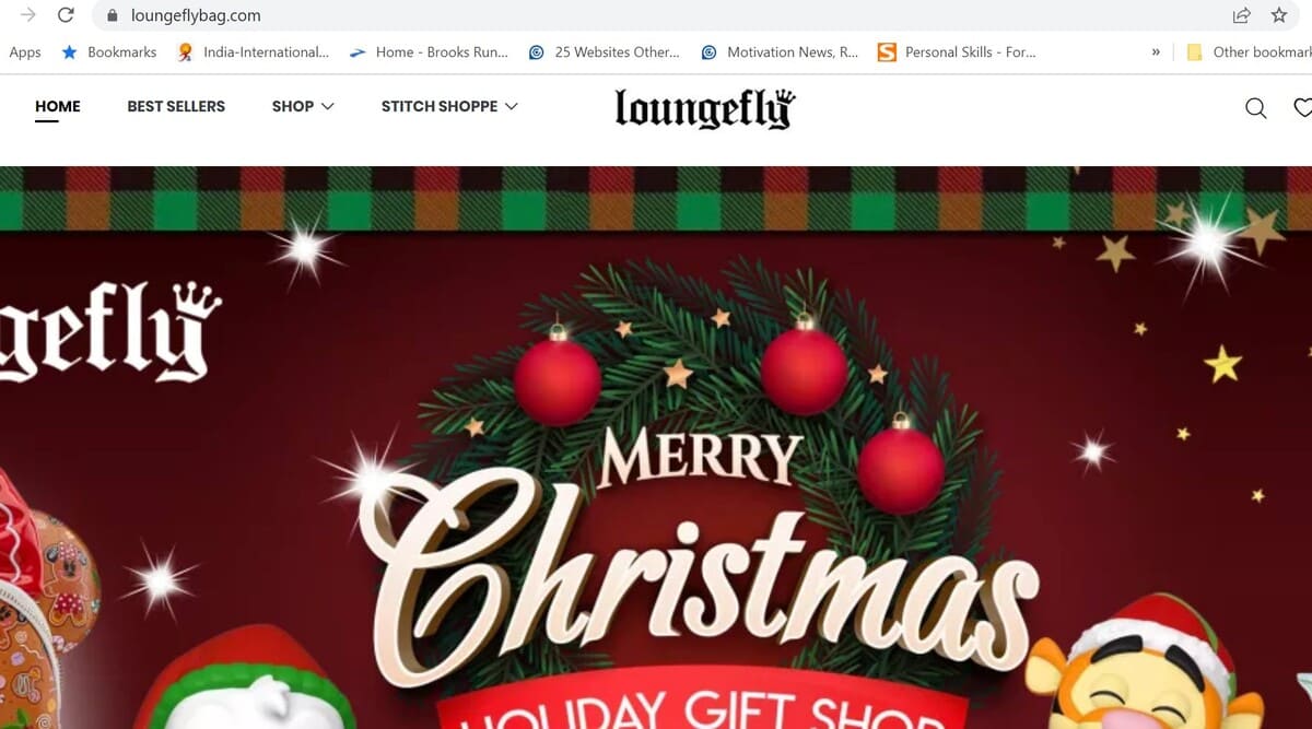 Loungeflybag Image