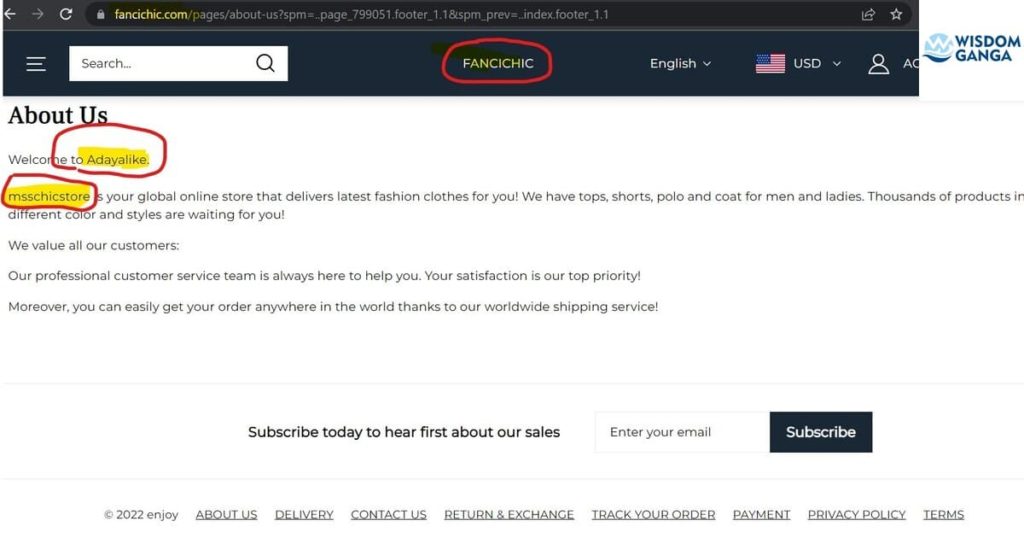Fancichic About Us