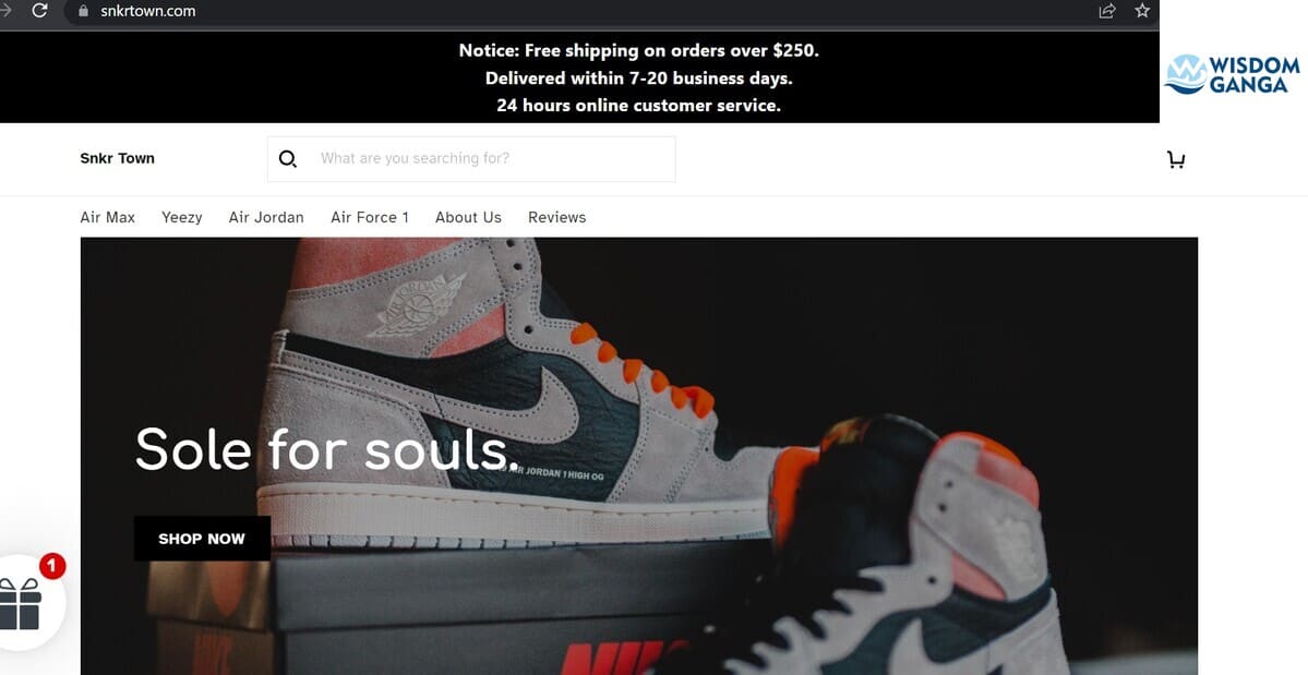 Snkrtown Image