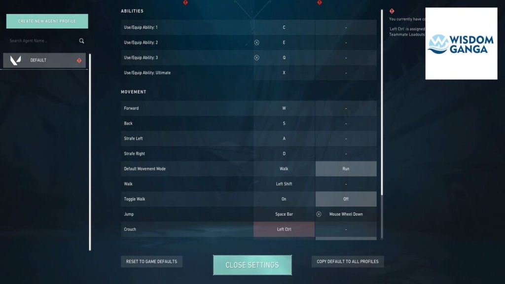 Babybay Valorant Settings - Babybay Keybind Image
