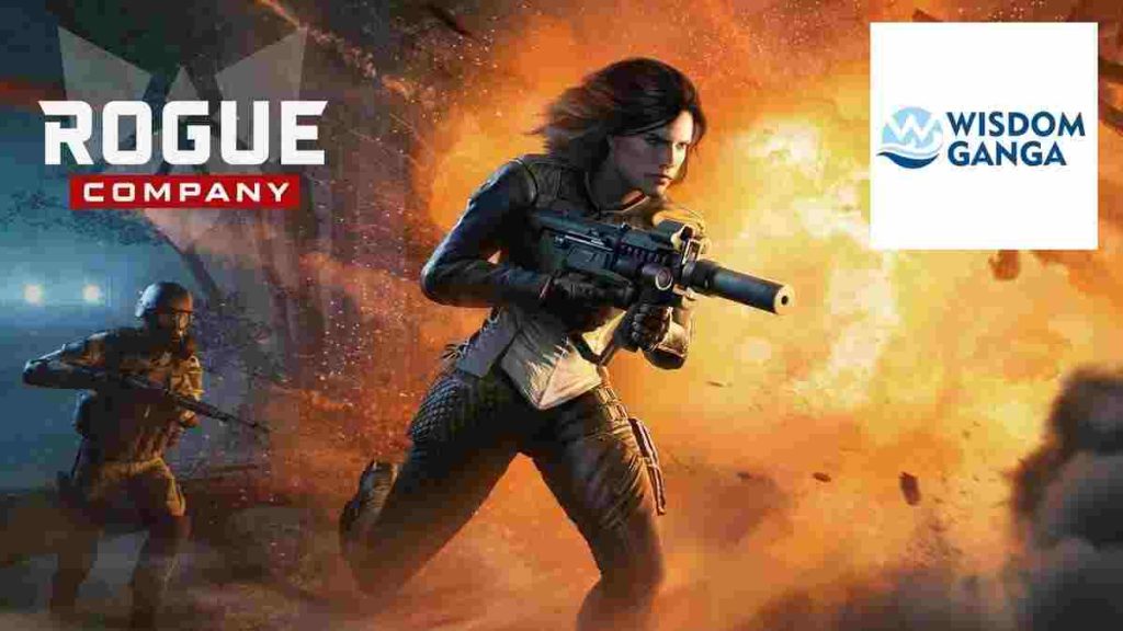 Games Similar To Valorant - Rogue company image by Wisdom Ganga