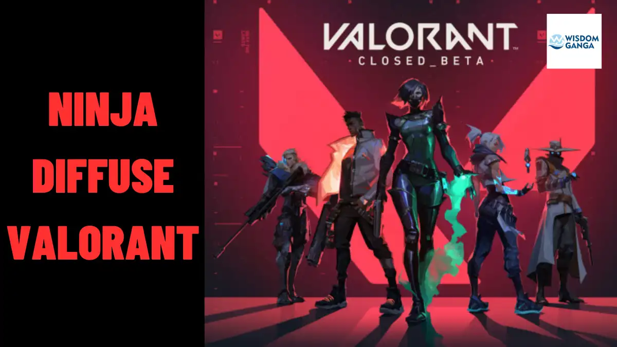 Ninja Diffuse Valorant