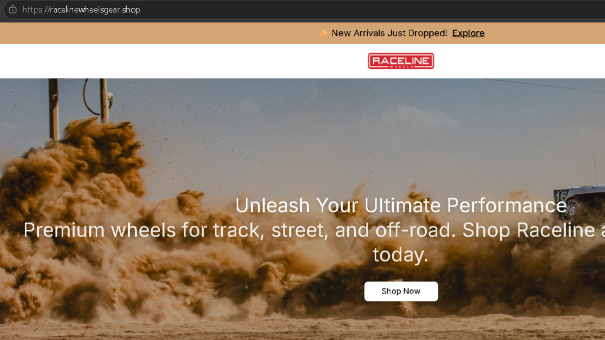 RacelineWheelsGear Review