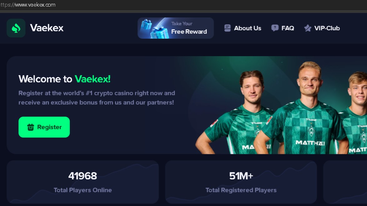 Vaekex Scam