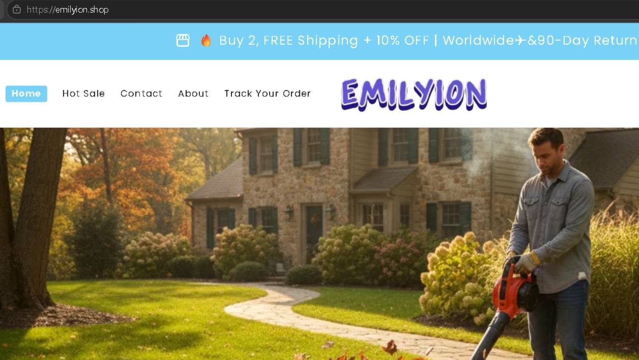Emilyion.shop Scam