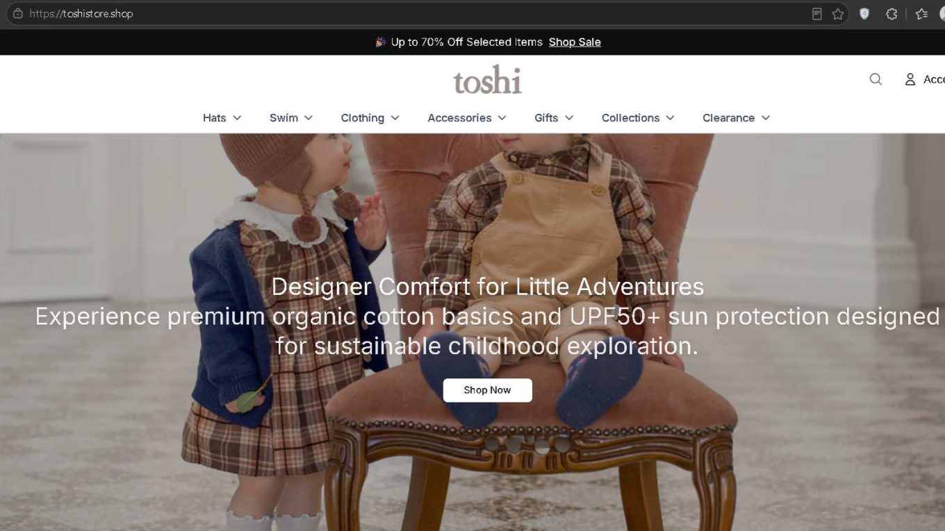 Toshistore.shop Scam